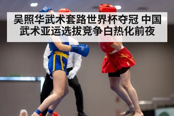 wushu martial arts